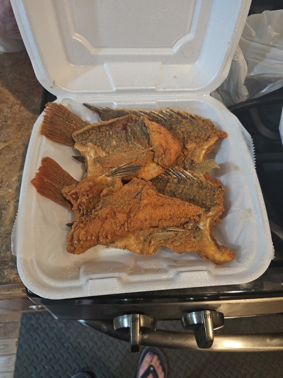Catfish